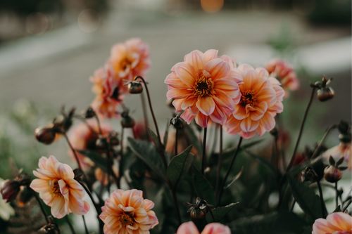 Emily Warren